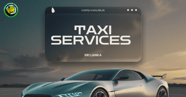 Why Private Taxi Services are the Best Way to Explore Sri Lanka 16 Private-taxi