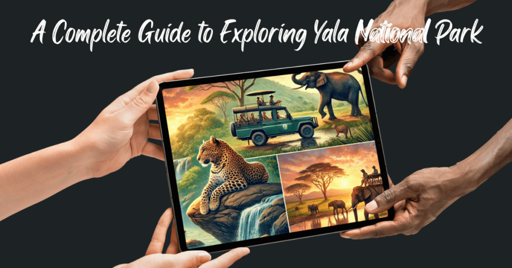 A Complete Guide to Exploring Yala National Park 8 Red and White Modern Indian Heritage Tour Instagram Post 2